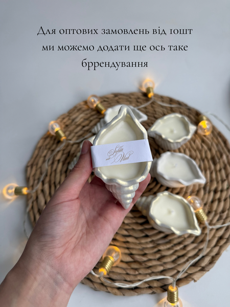 Свічка Мушля фото